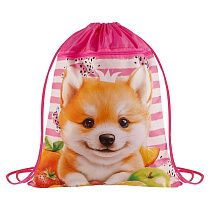Мешок для обуви 1 отделение ArtSpace "Cute animals", 340*420мм, карман