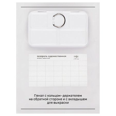 Акварель художественная Гамма "Старый Мастер" IWS "Пленэр", 12цв*2,6мл, кюветы, метал. коробка