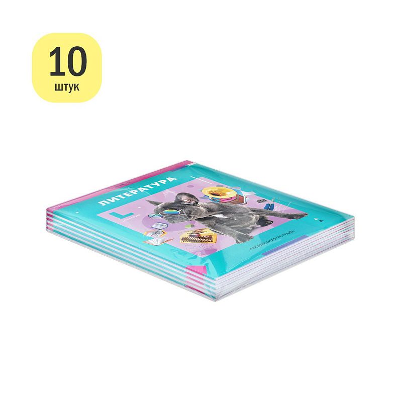 Тетрадь предметная 36л. ArtSpace "Пять в квадрате" - Литература, эконом