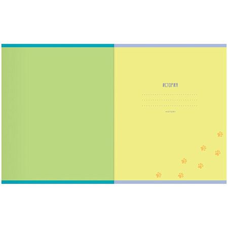Тетрадь предметная 48л. MESHU "Ученый MISHKA" - Литература, матовая ламинация, выборочный УФ-лак, тиснение фольгой