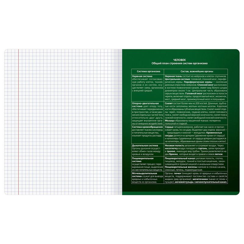 Тетрадь предметная 48л. BG "Темное стекло" - Биология, конгрев, твин-лак, 70г/м2