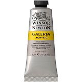 Краска акриловая художественная Winsor&Newton "Galeria", 60мл, туба, бледная умбра