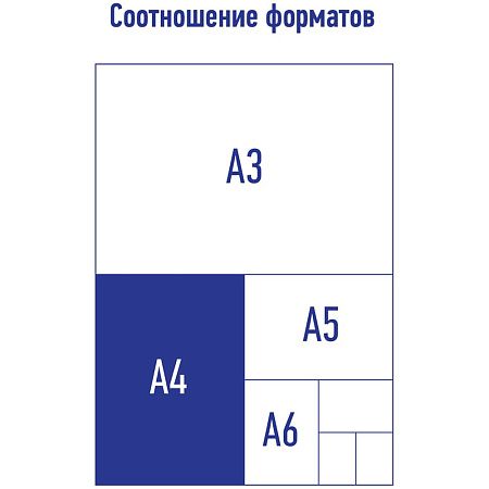 Папка-регистратор Berlingo "Terrain", 80мм, ламинированная, с рисунком 