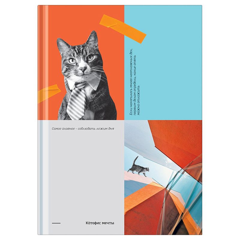 Бизнес-блокнот А5, 80л., BG "Котофис мечты", soft-touch ламинация