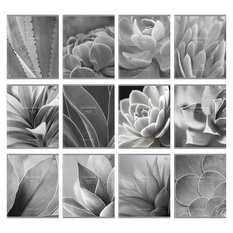 Комплект (12 шт.) предметных тетрадей 48л. BG "Succulents", матовая ламинация