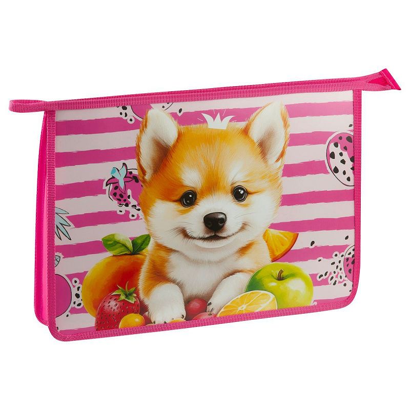 Папка для тетрадей 1 отделение, ArtSpace "Corgi", А4, пластик, на молнии