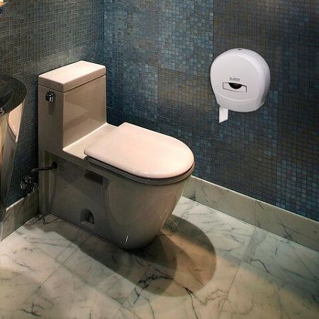 Диспенсер для туалетной бумаги LAIMA PROFESSIONAL CLASSIC (Система T2), малый, белый, ABS-пластик, 601427 