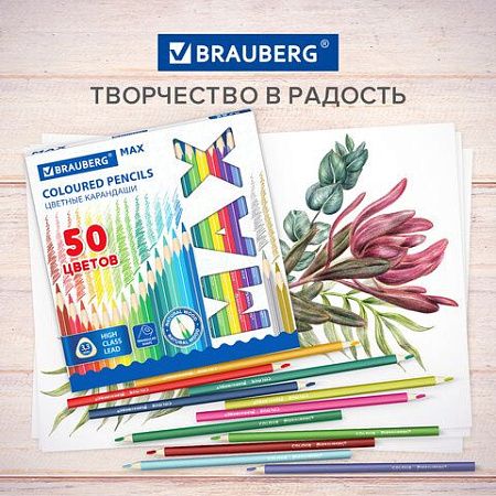 Карандаши цветные супермягкие яркие трехгранные BRAUBERG MAX, 50 цветов, грифель мягкий 3,3 мм, 181860