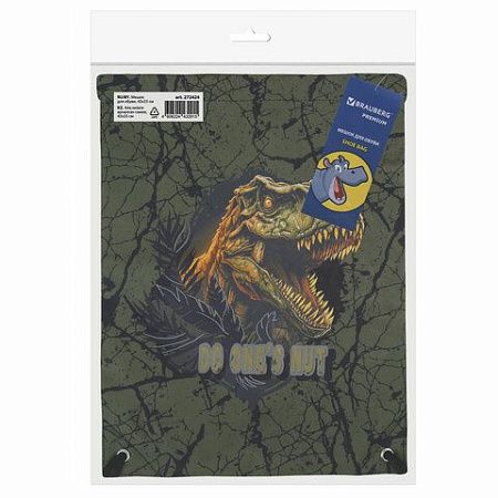 Мешок для обуви BRAUBERG PREMIUM, карман, подкладка, светоотражайка, 43х33 см, Dino attack, 272424 