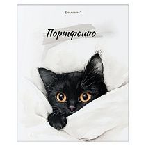 Папка-портфолио универсальная, 4 кольца, 20 файлов, 7БЦ матовая, BRAUBERG "Cat", 107557, 117557