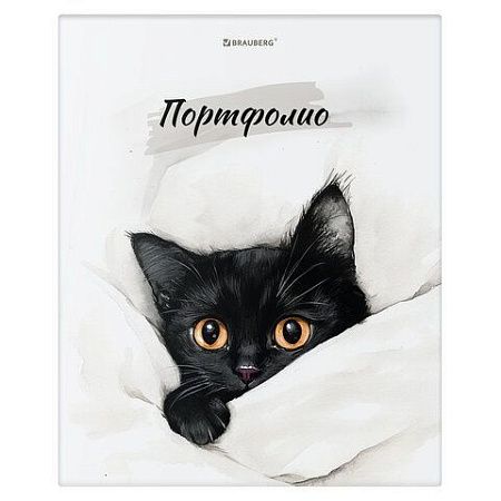 Папка-портфолио универсальная, 4 кольца, 20 файлов, 7БЦ матовая, BRAUBERG "Cat", 107557, 117557