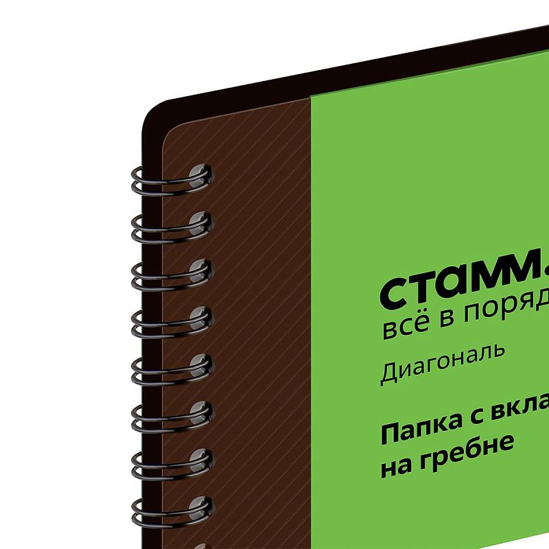 Папка с 30 вкладышами на гребне СТАММ "Диагональ" А4, 17мм, 700мкм, пластик, шоколад 