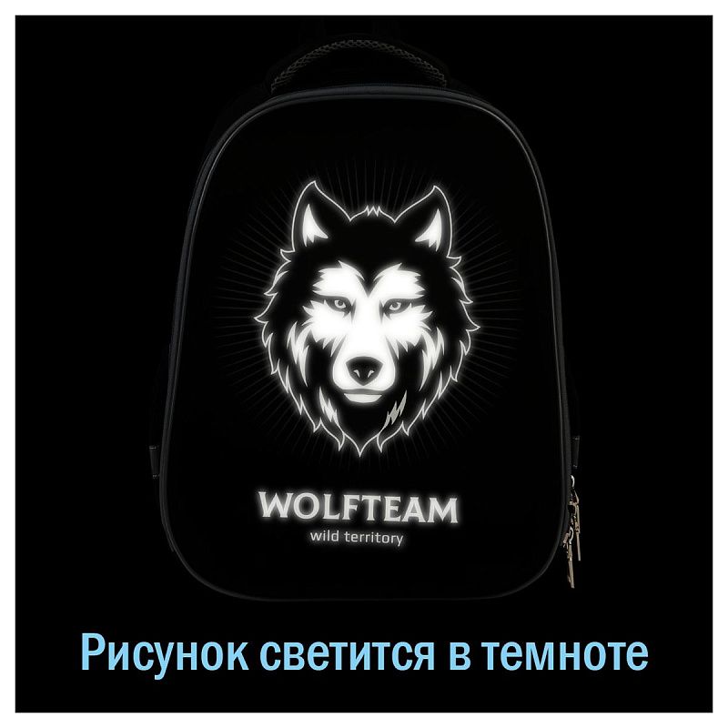 Ранец ArtSpace School Friend UFO "Wild" 39*30*18см, люминесцентная печать, 2 отделения, 2 кармана, анатомическая спинка 