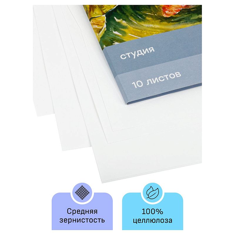 Папка для акварели, 10л., А3 Гамма "Студия", 200г/м2, среднее зерно