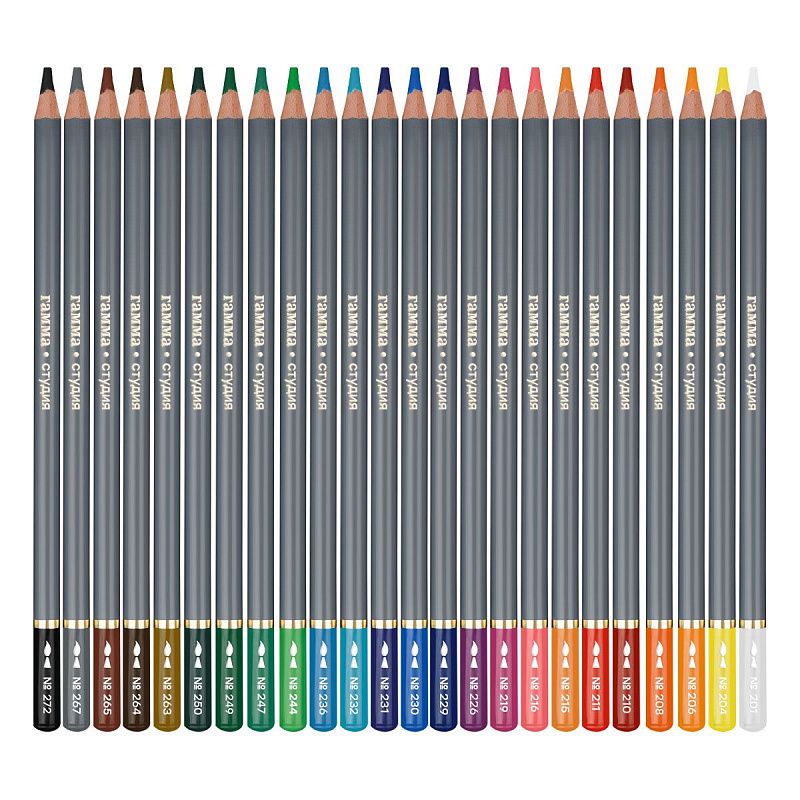 Карандаши акварельные художественные Гамма "Студия", 24цв., заточен.,картон. упаковка