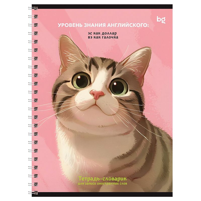 Тетрадь-словарик 48л., А5 для записи иностранных слов на гребне BG "Умные кошки"