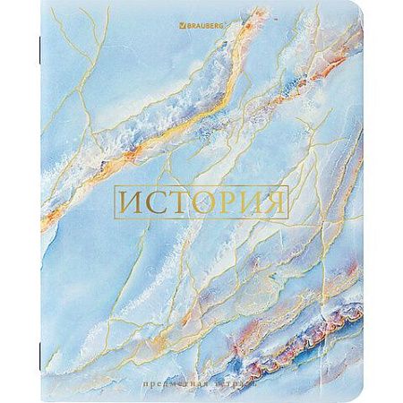 Тетради предметные со справочным материалом, КОМПЛЕКТ 10 ПРЕДМЕТОВ, "PASTEL", 48 л., SoftTouch, фольга, BRAUBERG, 404031