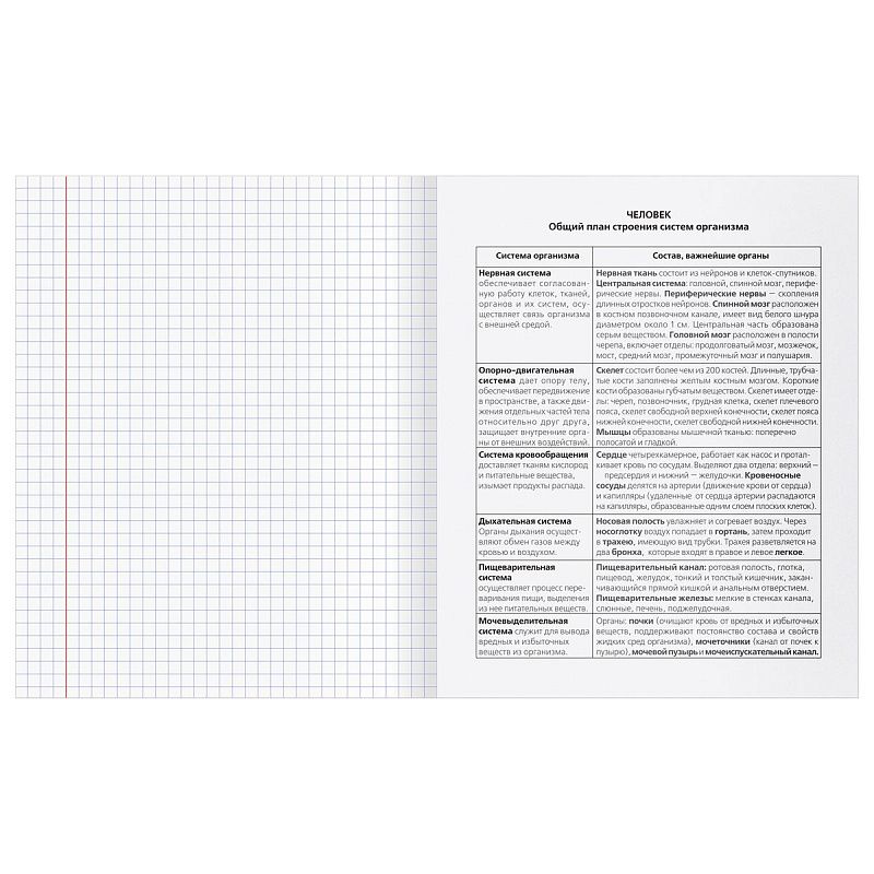 Тетрадь предметная 48л. BG "Заглавные-главные" - Биология, эконом