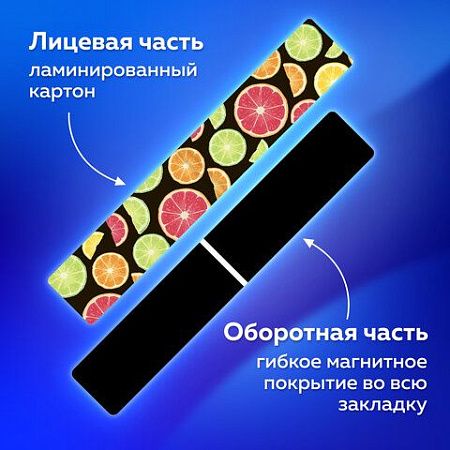 Закладки для книг МАГНИТНЫЕ, "FRUITS", набор 6 шт., 60x20 мм, BRAUBERG, 113160 