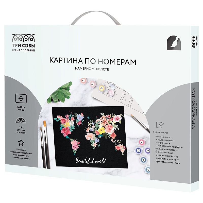 Картина по номерам на черном холсте ТРИ СОВЫ "Мир цветов", 40*50, c акриловыми красками и кистями