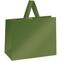 Пакет подарочный 32*26*12см MESHU "Green",  матовая ламинация
