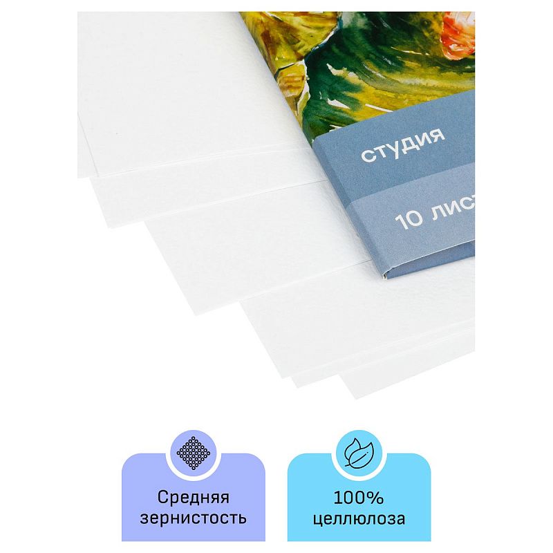 Папка для акварели, 10л., А4 Гамма "Студия", 200г/м2, среднее зерно