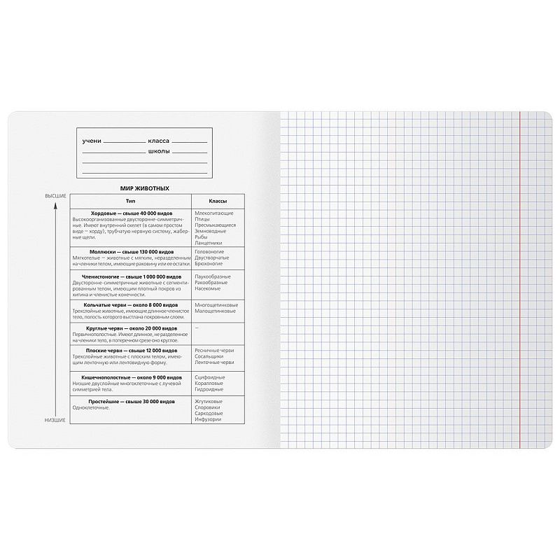 Тетрадь предметная 48л. BG "Минимализм" - Биология, выб.лак