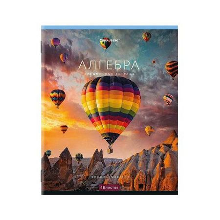 Тетради предметные, КОМПЛЕКТ 12 ПРЕДМЕТОВ, КЛАССИКА NEW, 48 л., обложка картон, BRAUBERG, 404322