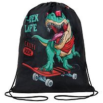 Мешок для обуви ПИФАГОР, 1 отделение, 42х34 см, "T-Rex", 271606