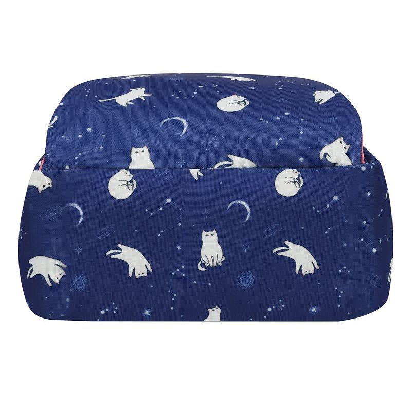 Рюкзак ArtSpace School "Cat curious", 44*31*16см, 1 отделение, 4 кармана, уплотн. спинка 