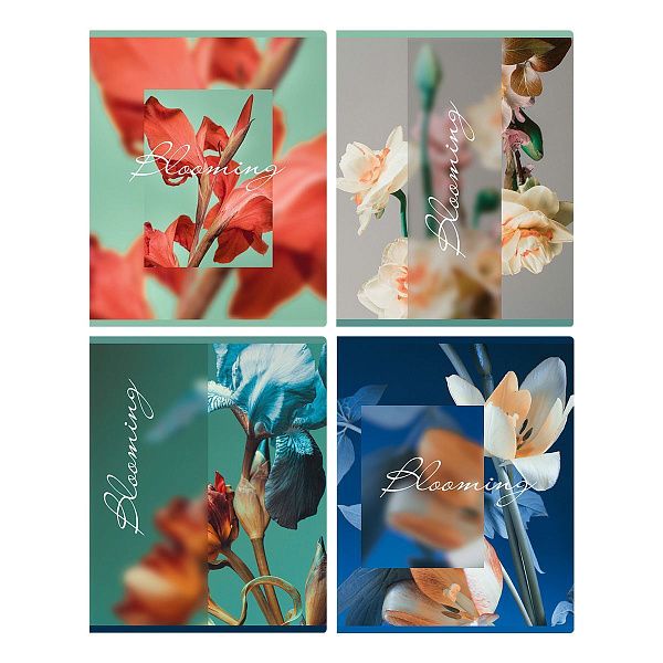Тетрадь 48л., А5, клетка BG "Blooming", матовая ламинация
