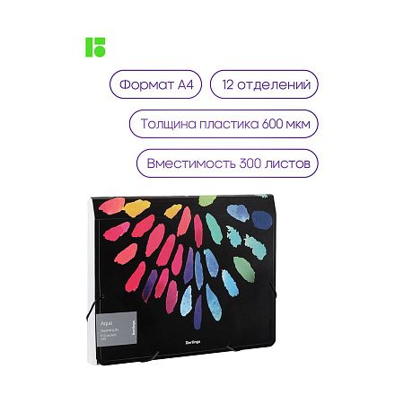 Папка 12 отделений Berlingo "Aqua" А4, 330*240*25мм, 700мкм, на резинке, c рисунком 