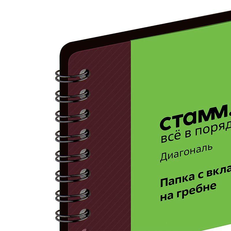 Папка с 40 вкладышами на гребне СТАММ "Диагональ" А4, 21мм, 700мкм, пластик, гранат 