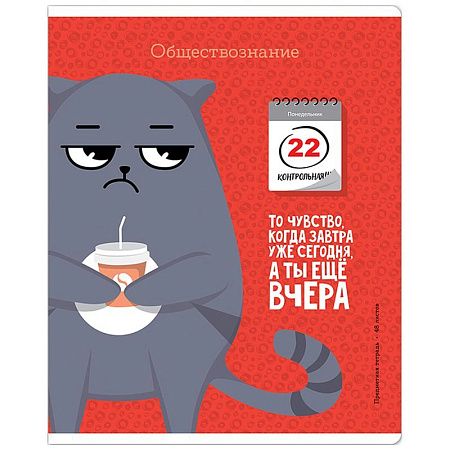 Тетрадь предметная 48л. ArtSpace "Котоцинизм" - Обществознание, ТВИН-лак