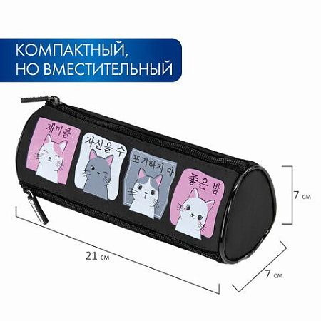 Пенал мягкий BRAUBERG, 3 отделения, нейлон, 21х7х7 см, "Anime Cats, 271580 