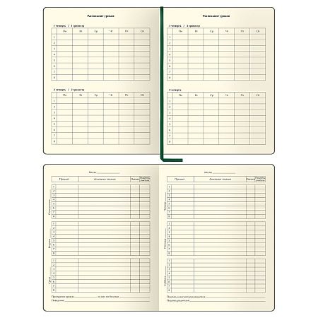 Дневник 1-11 кл. 48л. (ЛАЙТ) BG "Total green", иск. кожа, тиснение, цветн. срез, ляссе