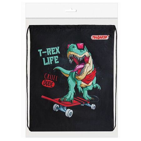Мешок для обуви ПИФАГОР, 1 отделение, 42х34 см, "T-Rex", 271606 