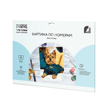 Картина по номерам на картоне ТРИ СОВЫ "Модный йорк", 30*40, с акриловыми красками и кистями