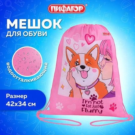 Мешок для обуви ПИФАГОР, 1 отделение, 40х32 см, Fluffy akita, 272385 