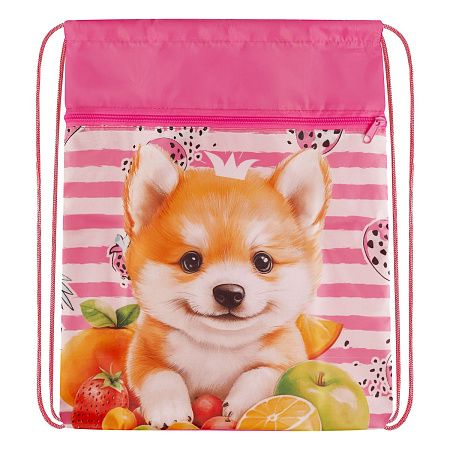 Мешок для обуви 1 отделение ArtSpace "Cute animals", 340*420мм, карман 