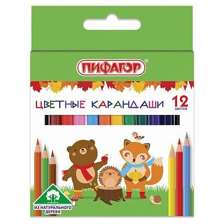Карандаши цветные ПИФАГОР "МАЛЫШИ-КАРАНДАШИ", 12 цветов, укороченные, заточенные, 181344