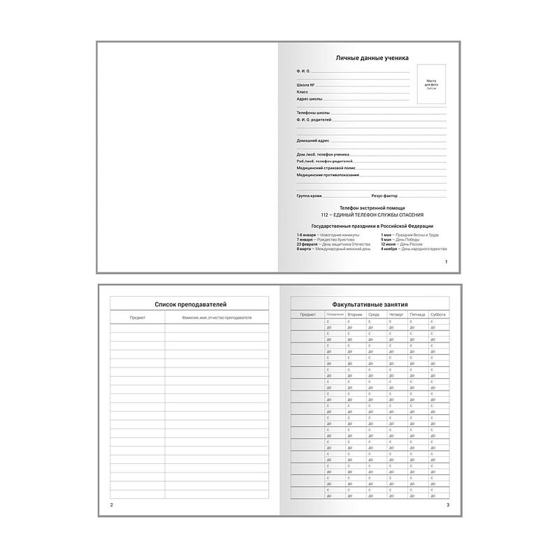 Дневник 1-11 кл. 40л. ЛАЙТ ArtSpace "Стиль. Forever young", глянцевая ламинация