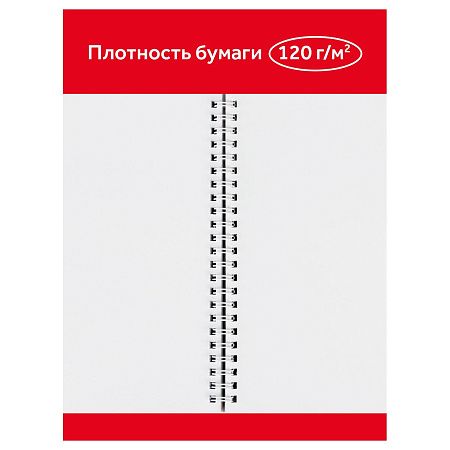Альбом для рисования 24л., А4, на гребне Гамма "Мультики", 120г/м2