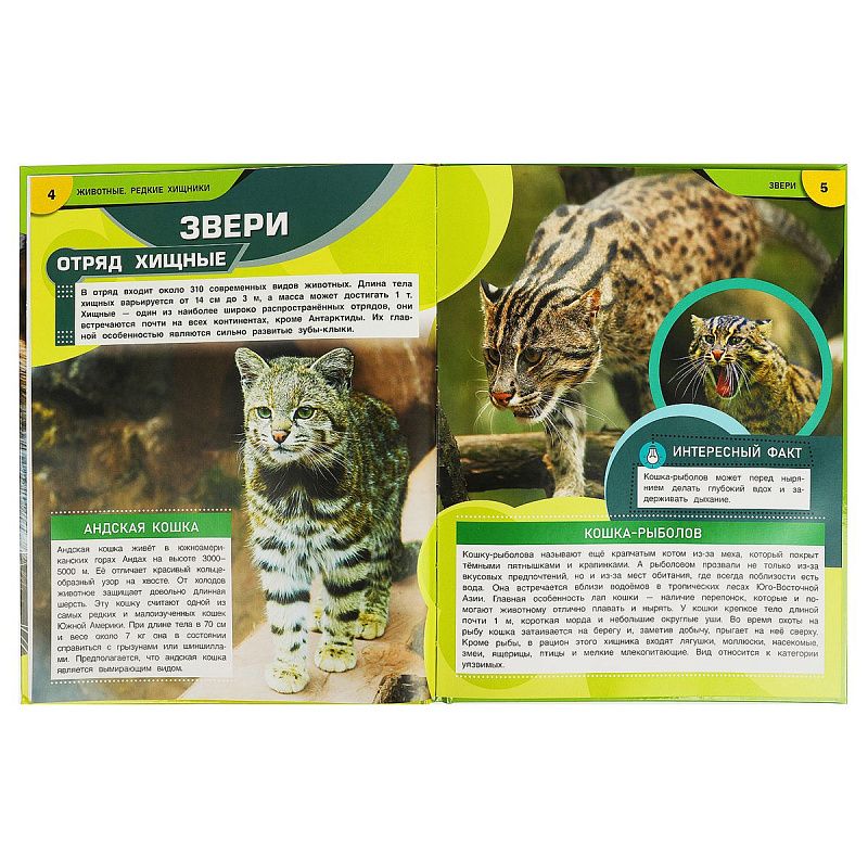 Энциклопедия Умка 197*255, "Животные. Редкие хищники", 48стр.