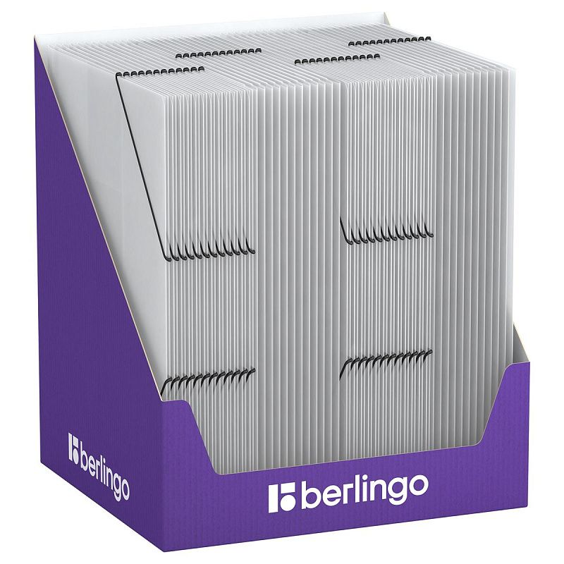 Папка на резинке Berlingo "No Secret" А4, 600мкм, полупрозрачная 