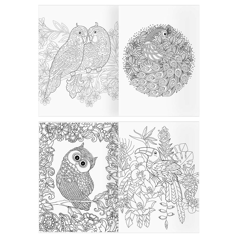 Раскраска А4 ТРИ СОВЫ "Антистресс. Райские птицы", 16стр.