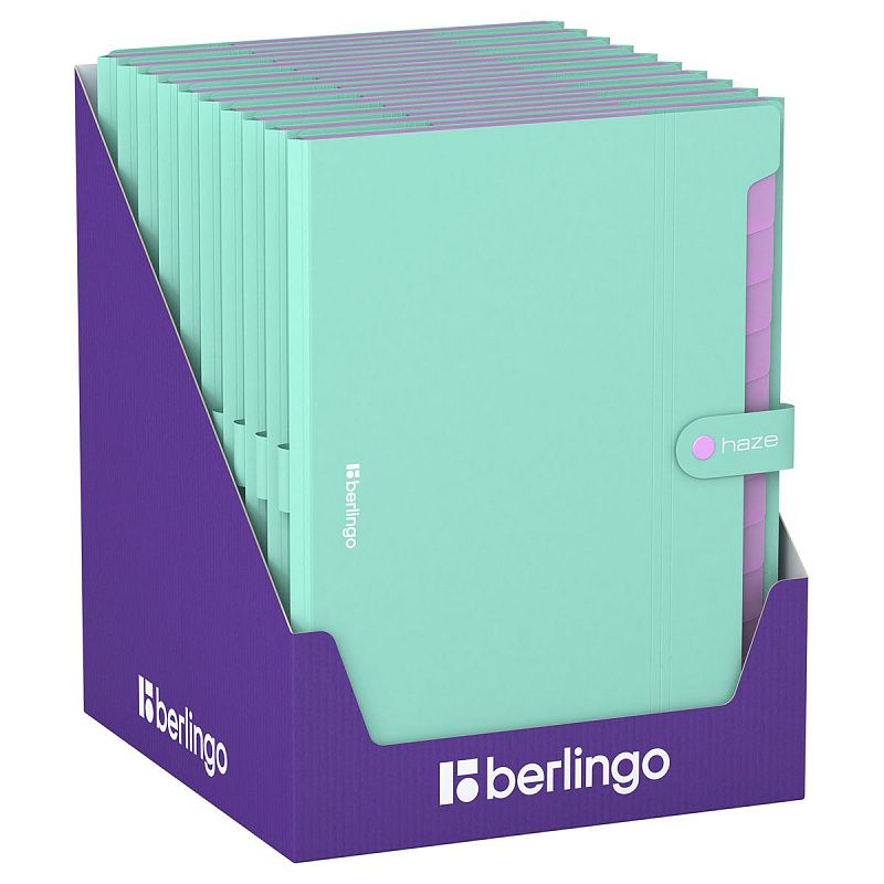 Папка 12 отделений Berlingo "Haze", А4, 600мкм, на кнопке, мятная 