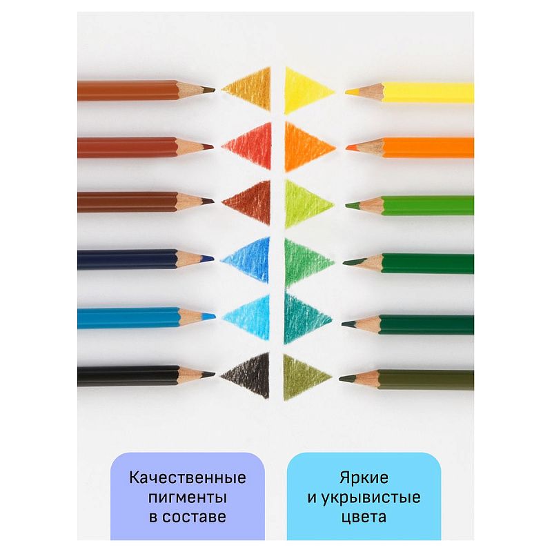 УЦЕНКА - Карандаши цветные Гамма "Хобби. Лесной пейзаж", 12цв., заточен., ПВХ, европодвес