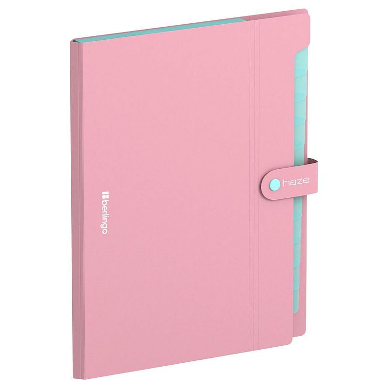Папка 12 отделений Berlingo "Haze", А4, 600мкм, на кнопке, розовая 