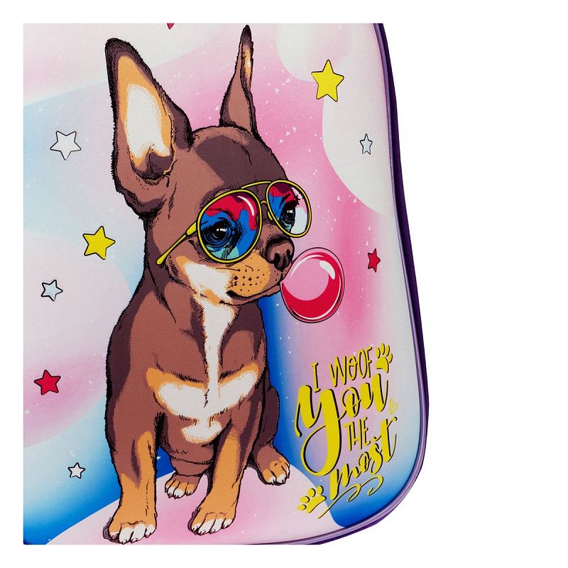 Ранец ArtSpace School Friend "Woof" 39*30*18см, 2 отделения, 2 кармана, анатомическая спинка 